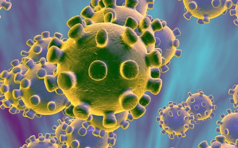 Coronavirus Coronavirus